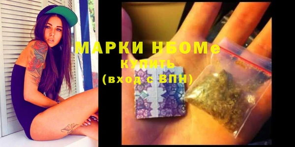 индика Арсеньев