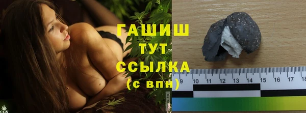 индика Арсеньев