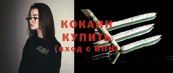 стаф Аркадак