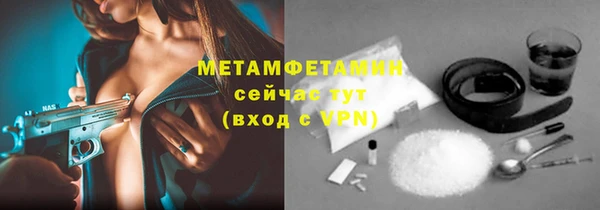 индика Арсеньев