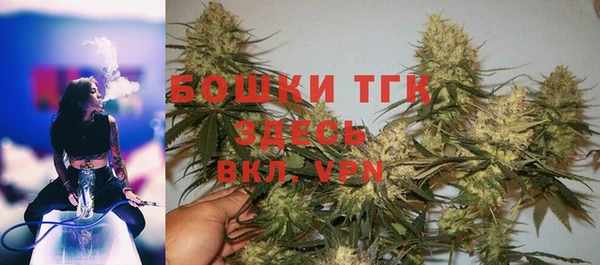 индика Арсеньев