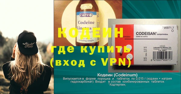 индика Арсеньев