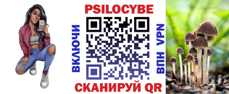 Галлюциногенные грибы Psilocybe  как найти наркотики  Малая Вишера 